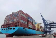 Argentina | Cerezas: se profundiza la caída generalizada de precios en los mercados Argentina | Cereza caída generalizada de precios en los mercados