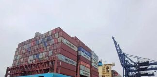 Argentina | Cereza caída generalizada de precios en los mercados