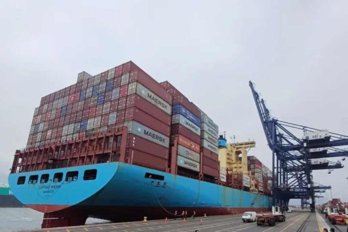 Argentina | Cereza caída generalizada de precios en los mercados