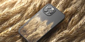 Chile desarrolla un dispositivo con inteligencia artificial para mejorar la calidad y precisión de las semillas