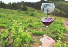 Corfo abre concurso para cofinanciar proyectos de inversión para fortalecer al sector vitivinícola del Valle del Itata Corfo abre concurso para cofinanciar proyectos de inversión para fortalecer al sector vitivinícola del Valle del Itata