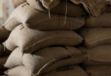 Del campo a la exportación: cómo La Niña puede afectar los precios de las materias primas Del campo a la exportación cómo La Niña puede afectar los precios de las materias primas