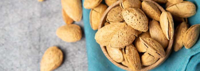 España: Pronostican producción histórica de Almendras y exportación récord para 2025/2026