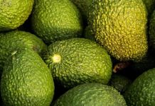 EE.UU. ajusta aranceles para productos agrícolas y favorece a exportadores chilenos