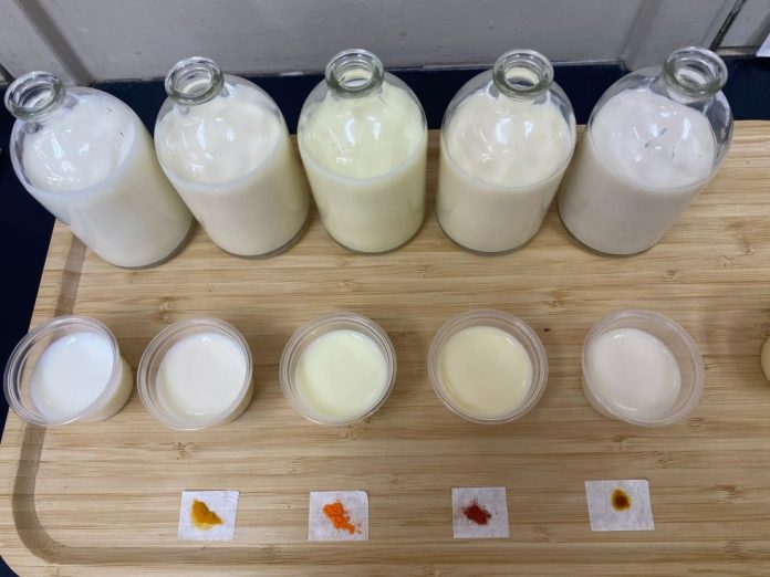 EVALUACION LECHES (2) Investigadores de INIA analizan leches con colorantes naturales en innovadora evaluación sensorial