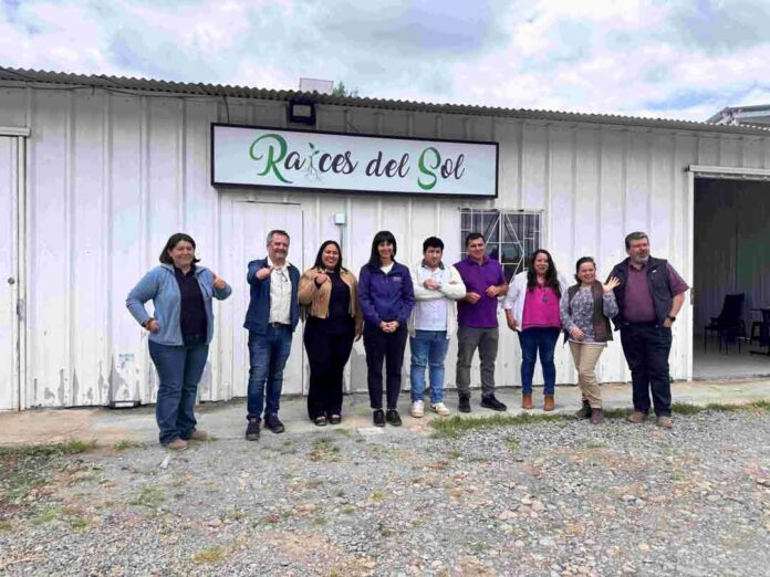 Empresas campesinas de Quillón abren nuevos mercados Empresas campesinas de Quillón abren nuevos mercados