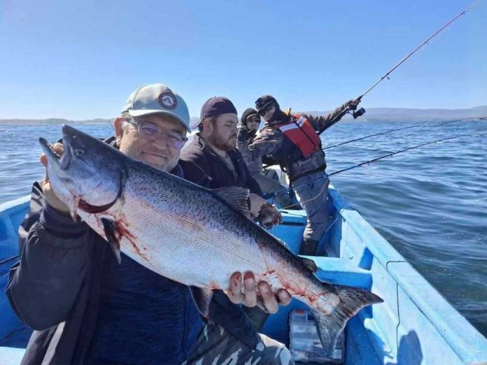 Entre salmones y conciencia ambiental el boom de la pesca deportiva en Chiloé Entre salmones y conciencia ambiental: el boom de la pesca deportiva en Chiloé
