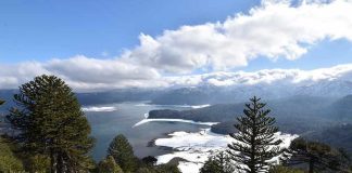 Estudio revela creciente amenaza a la sostenibilidad y las metas 2030 el abandono de medidas de conservación