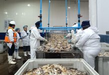 Exportaciones de la Región de Coquimbo crecen un 49,9% entre enero y octubre impulsadas por sectores agropecuario y pesca Exportaciones de la Región de Coquimbo crecen un 49,9% entre enero y octubre impulsadas por sectores agropecuario y pesca