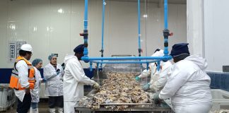 Exportaciones de la Región de Coquimbo crecen un 49,9% entre enero y octubre impulsadas por sectores agropecuario y pesca