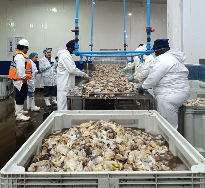 Exportaciones de la Región de Coquimbo crecen un 49,9% entre enero y octubre impulsadas por sectores agropecuario y pesca Exportaciones de la Región de Coquimbo crecen un 49,9% entre enero y octubre impulsadas por sectores agropecuario y pesca