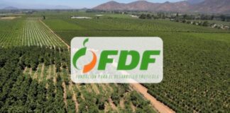 FDF apunta a la sustentabilidad con nuevo Programa de Difusión Tecnológica (PDT) en la Región de O’Higgins