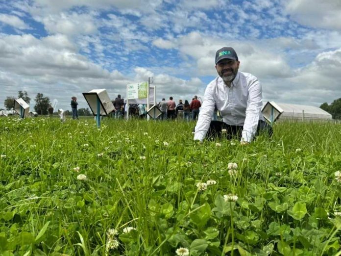 INIA da a conocer avances en el uso de praderas mixtas de ballicas con trébol INIA da a conocer avances en el uso de praderas mixtas de ballicas con trébol