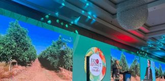 Ignacio Fernández (ProChile): “Chile se consolida como uno de los principales proveedores de nueces del mundo”