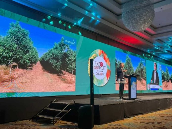 Ignacio Fernández (ProChile) “Chile se consolida como uno de los principales proveedores de nueces del mundo” Ignacio Fernández (ProChile): “Chile se consolida como uno de los principales proveedores de nueces del mundo”