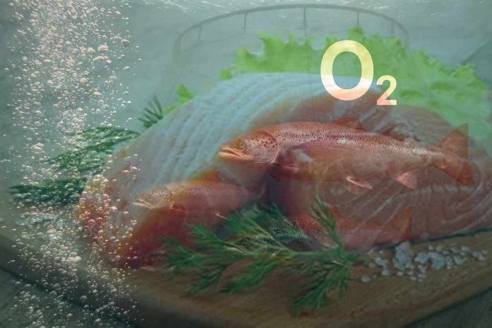 Indura lleva la innovación con CO₂ al corazón de la agricultura