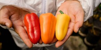 Innovaciones Biotecnológicas potencian exportaciones y la relación con los Consumidores