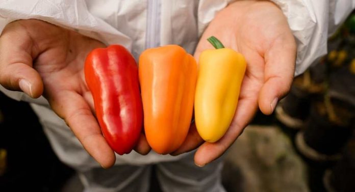 Innovaciones Biotecnológicas potencian exportaciones y la relación con los Consumidores Innovaciones Biotecnológicas potencian exportaciones y la relación con los Consumidores