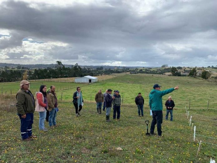 Investigadores de INIA dan a conocer prácticas agroecológicas para controlar el gusano blanco en Chiloé Investigadores de INIA dan a conocer prácticas agroecológicas para controlar el gusano blanco en Chiloé