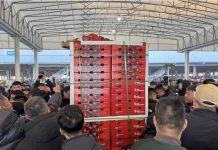 China | Las primeras cerezas Chilenas de la temporada llegan por mar a Shanghái China | Las primeras cerezas Chilenas de la temporada llegan por mar a Shanghái