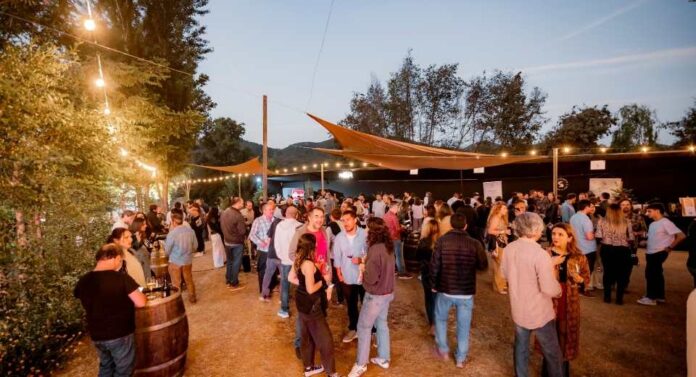 Maturana Sunset Experience un atardecer con identidad, vino y comunidad en San Fernando