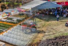 México | Expo Agroalimentaria Guanajuato 2025 México | Expo Agroalimentaria Guanajuato 2025