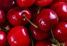 Moderno packing de cerezas en San Nicolás generará 420 empleos