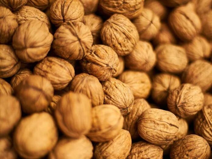 Nuez chilena en el snack del día a día