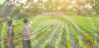 OCDE Políticas Agrícolas 2025