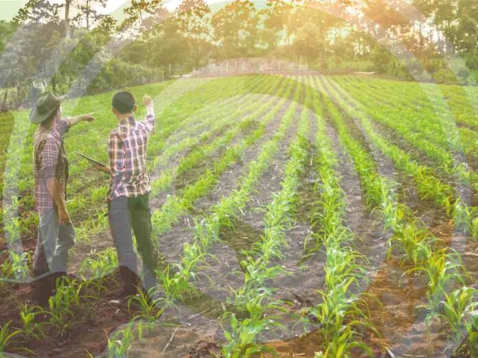OCDE Políticas Agrícolas 2025 OCDE Políticas Agrícolas 2025