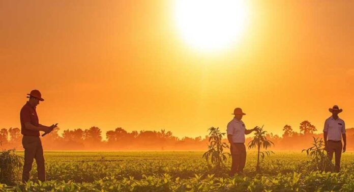 Ola de calor: investigadores del INIA entregan consejos para cuidar los cultivos