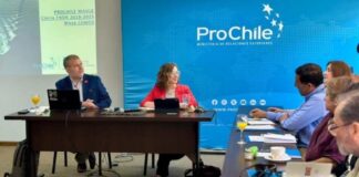ProChile expone en Mesa Comex del Maule balance de actividades internacionales financiadas por el FNDR