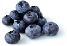 Perú: Proarándanos ajusta volúmenes de envíos y prevé temporada más corta Perú: Proarándanos ajusta volúmenes de envíos y prevé temporada más corta