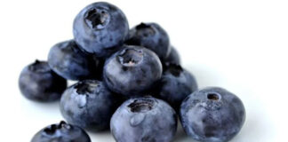 Perú: Proarándanos ajusta volúmenes de envíos y prevé temporada más corta