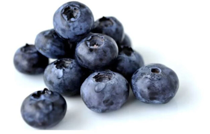 Perú: Proarándanos ajusta volúmenes de envíos y prevé temporada más corta Perú: Proarándanos ajusta volúmenes de envíos y prevé temporada más corta