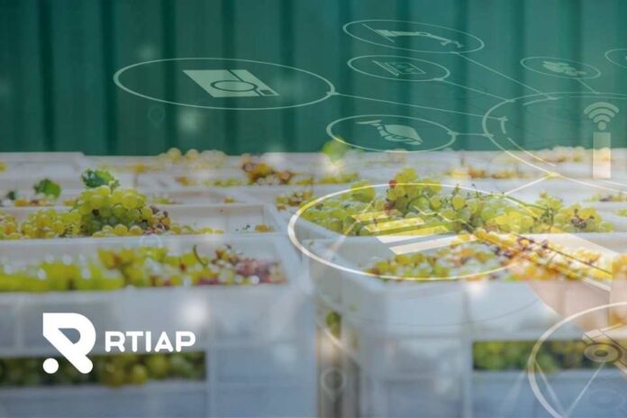 RTIAP. Desafíos de automatización de termometría y digitalización de procesos de pre-frío en packing de uvas: una ventaja competitiva vital Desafíos de automatización de termometría y digitalización de procesos de pre-frío en packing de uvas: una ventaja competitiva vital
