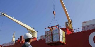 Chile y Japón inician marcha blanca para implementar certificación fitosanitaria electrónica