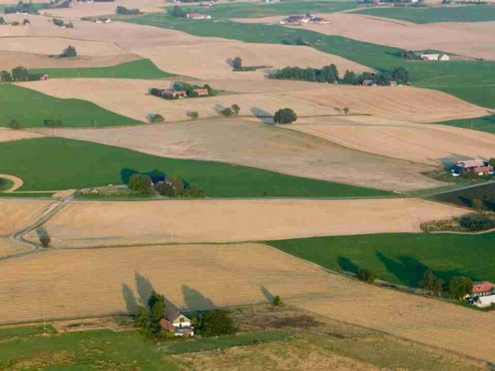 SAG Ñuble recibe la primera solicitud bajo modalidad de Terceros Autorizados
