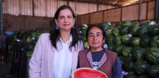 Ministra de Agricultura destaca la labor del SAG y otros organismos del Estado para combatir el ingreso ilegal de productos silvoagropecuarios en la región de Arica
