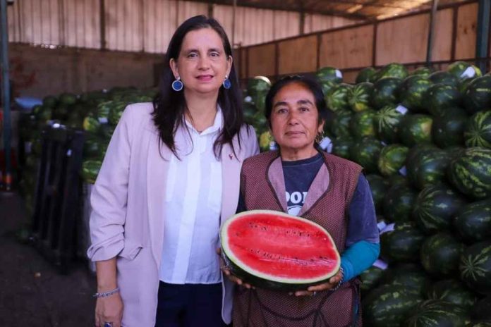 Ministra de Agricultura destaca la labor del SAG y otros organismos del Estado para combatir el ingreso ilegal de productos silvoagropecuarios en la región de Arica