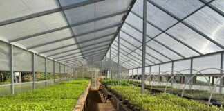 SAG llama a realizar la declaración anual de Hortalizas