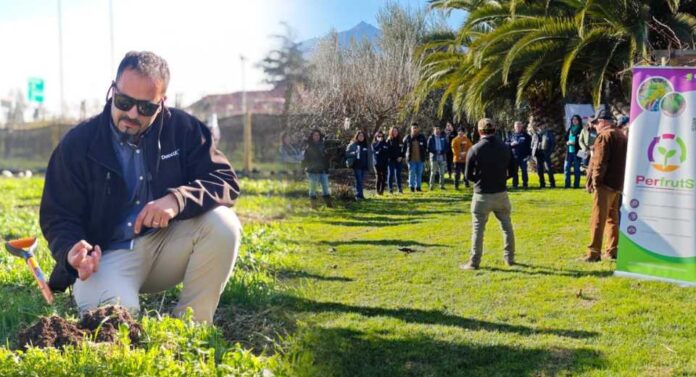 Suelos vivos, bajos costos Cómo se impulsa la transición hacia la biodiversidad y la salud de los suelos en el Agro de la Región de Valparaíso Suelos vivos, bajos costos: Cómo se impulsa la transición hacia la biodiversidad y la salud de los suelos en el Agro de la Región de Valparaíso
