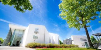 Universidad de Talca se adjudicó dos proyectos Anillo de Investigación