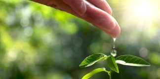 Valmet obtiene medalla de oro en evaluación global de sostenibilidad de EcoVadis