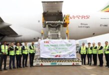 Cerezas chilenas llegan a China en el primer chárter de temporada Cerezas chilenas llegan a China en el primer chárter de temporada