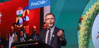 Director General de ProChile en Exponut 2025: "Chile se consolida como uno de los principales proveedores de nueces a nivel mundial"