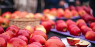 UTalca y FIA se unen para buscar comercialización de nuevos híbridos de manzanos