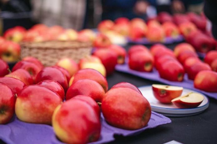 UTalca y FIA se unen para buscar comercialización de nuevos híbridos de manzanos