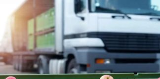 India confía en el sistema chileno y autoriza tratamiento de frío en tránsito para fruta nacional