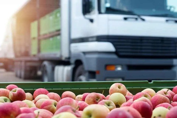 India confía en el sistema chileno y autoriza tratamiento de frío en tránsito para fruta nacional